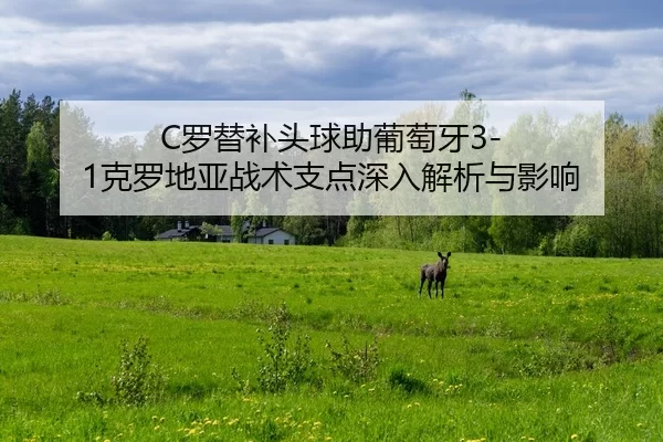 luo-ti-bu-tou-qiu-zhu-pu-tao-ya-ke-luo-di-ya-zhan-shu-zhi-dian-shen-ru-jie-xi-yu-ying-xiang-2-530.jpg